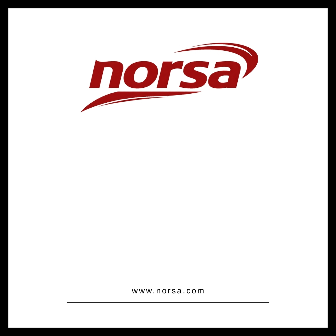 Norsa